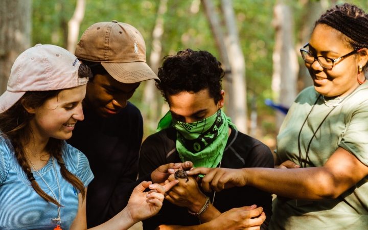 A young person holds a small reptile while three others gently pet it